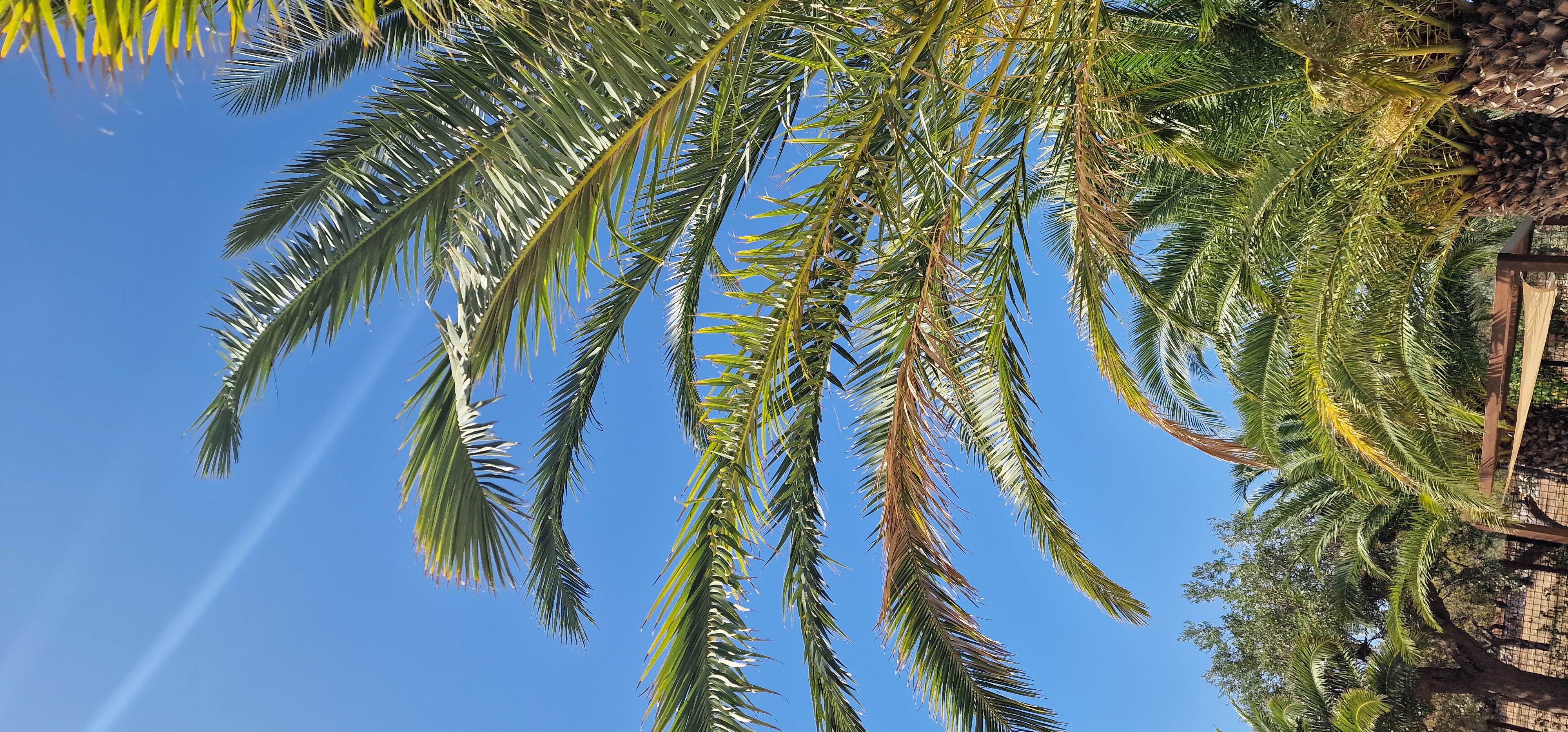 masseria cesarina b&b di van bokhoven antonia wilhelmina maria
