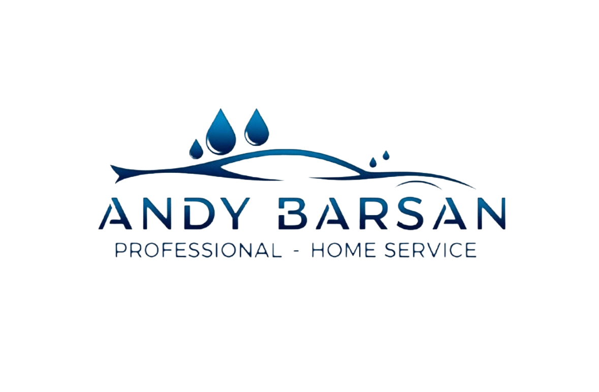 andissimo di vasile andi barsan