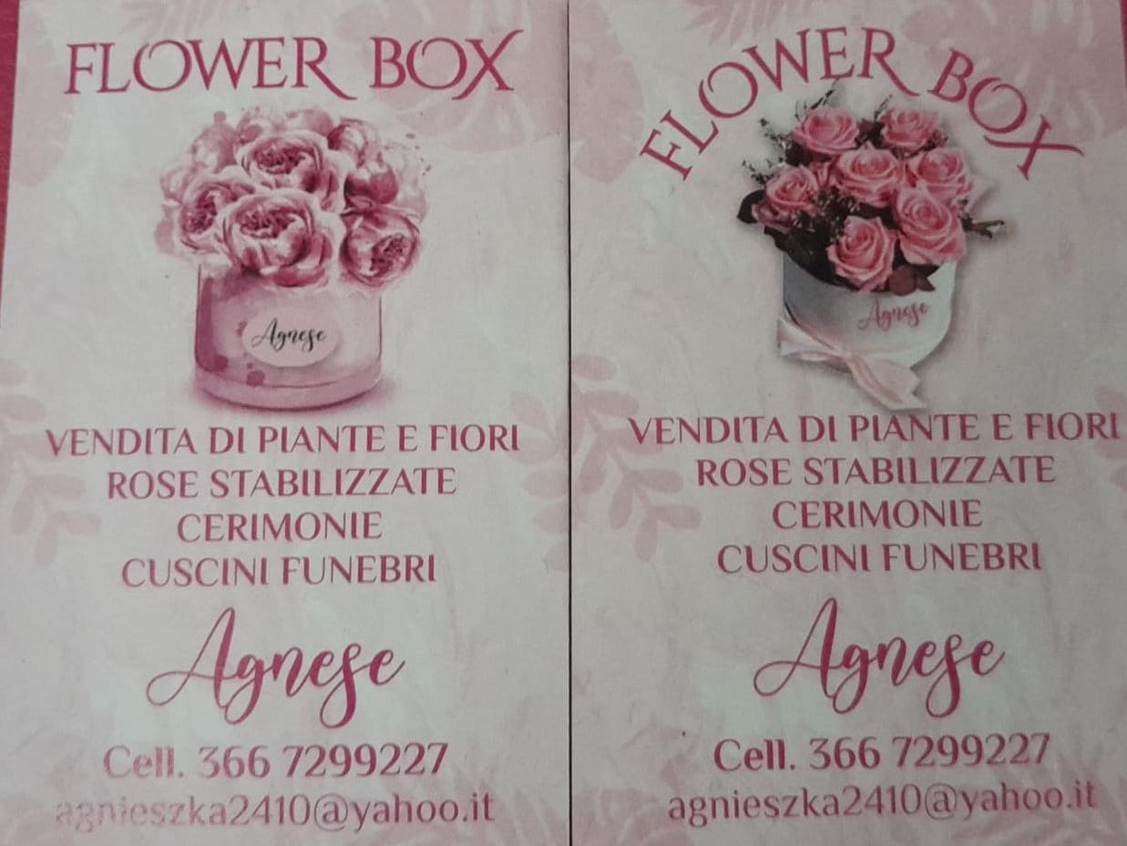 flower box di nosek agnieszka malgorzata