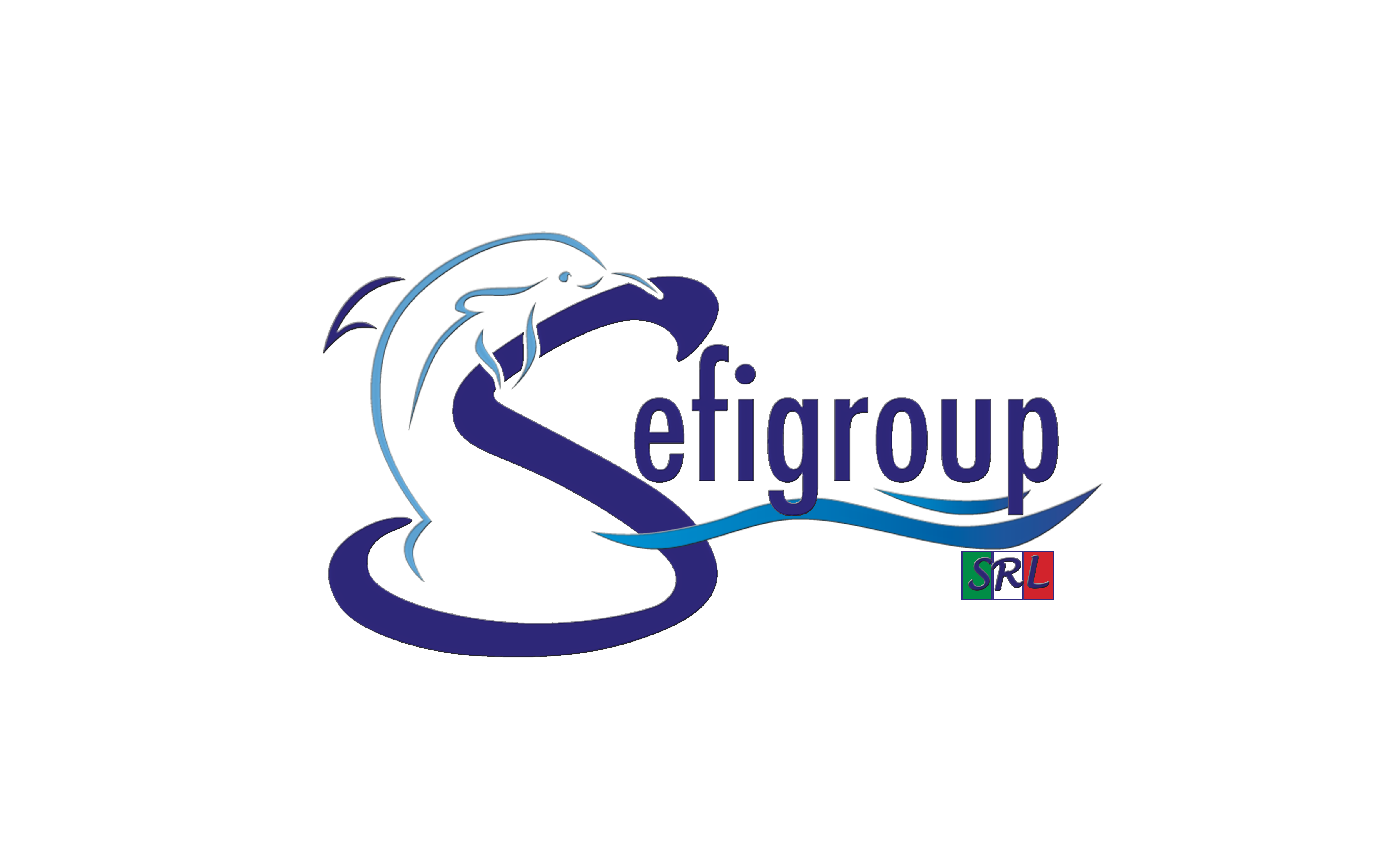SEFIGROUP SOCIETA' A RESPONSABILITA' LIMITATA