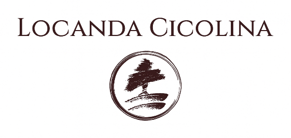 VENTICINQUE SOCIETA' AGRICOLA SEMPLICE