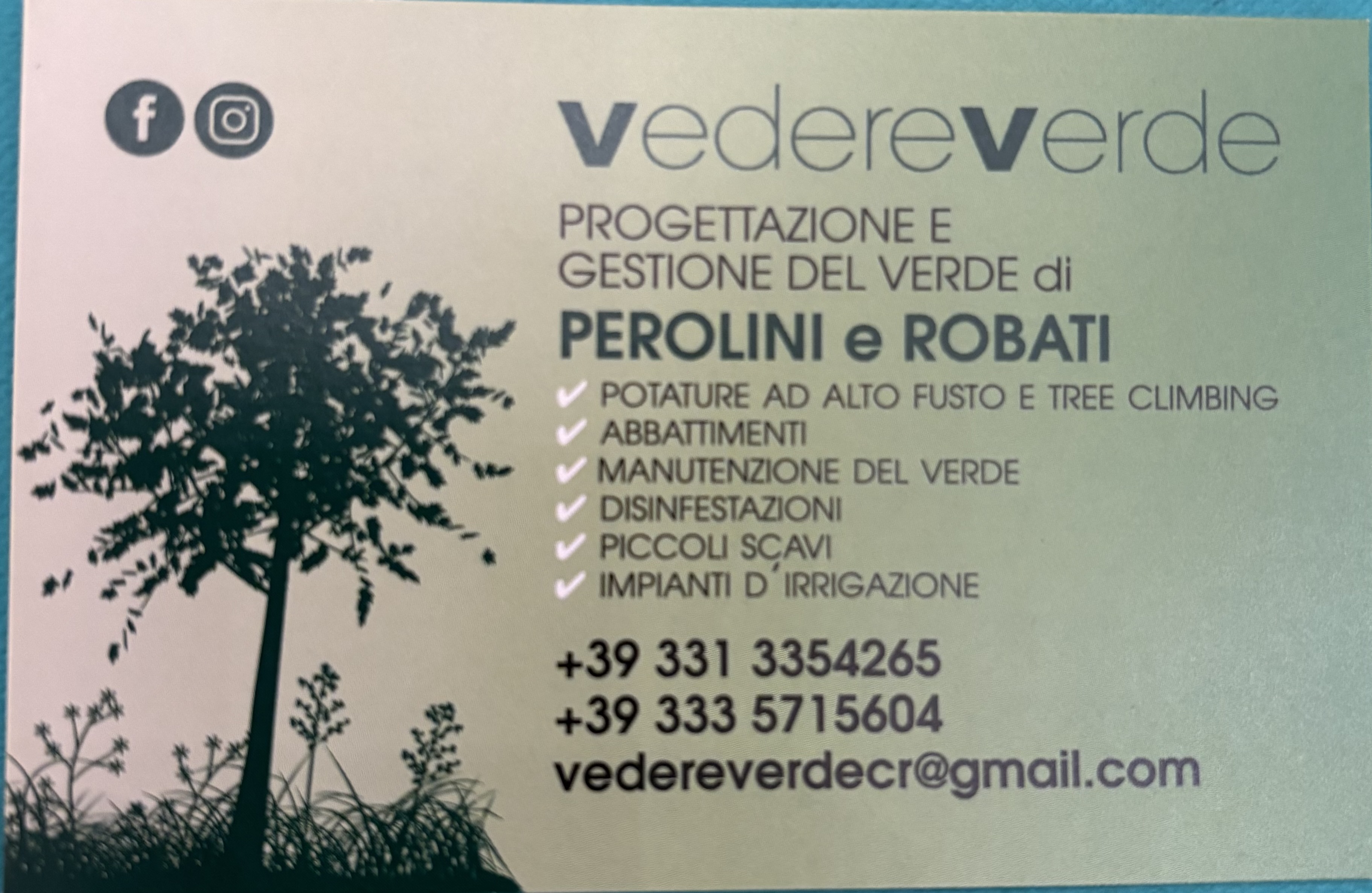 VEDERE VERDE SRL