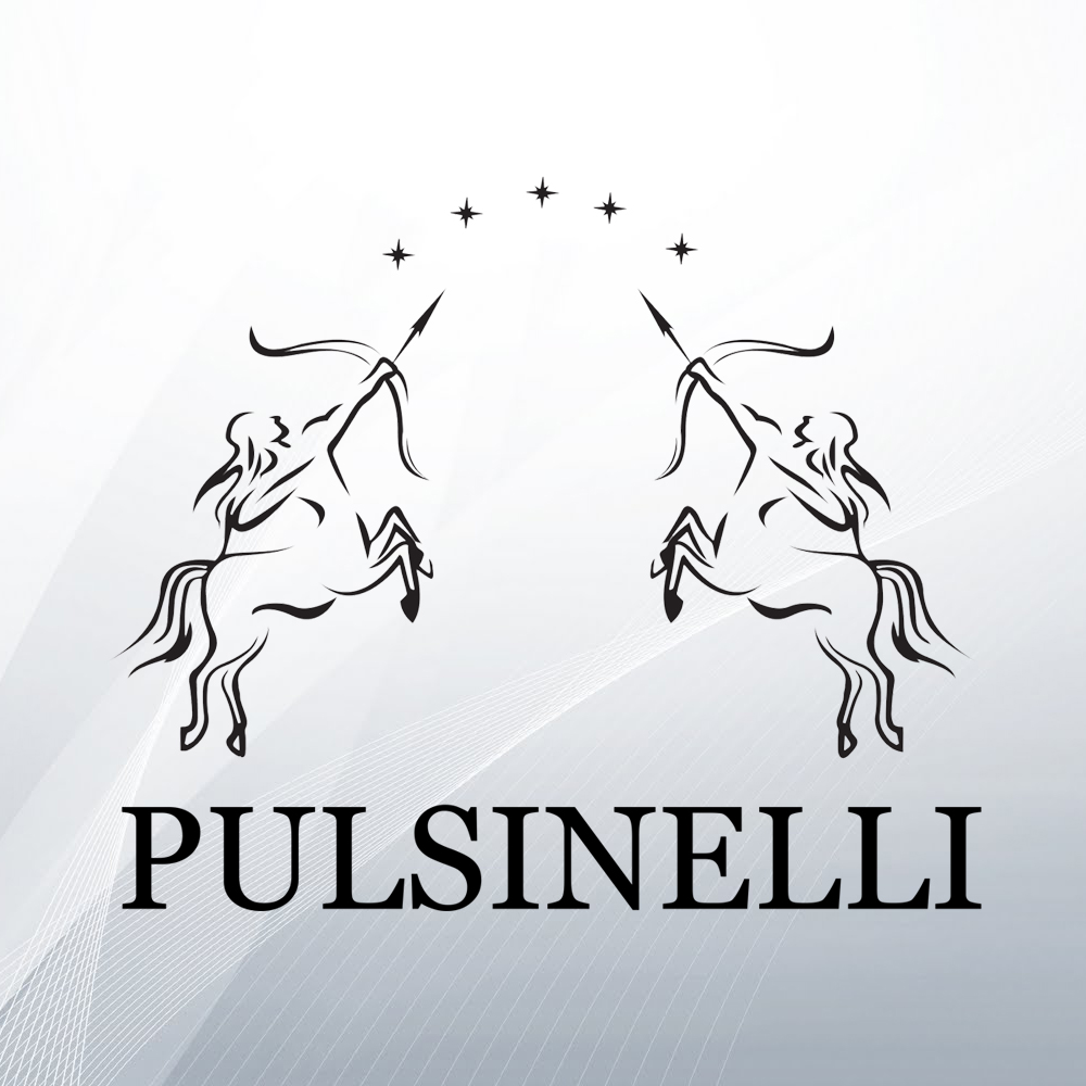 PULSINELLI CENTER S.R.L.