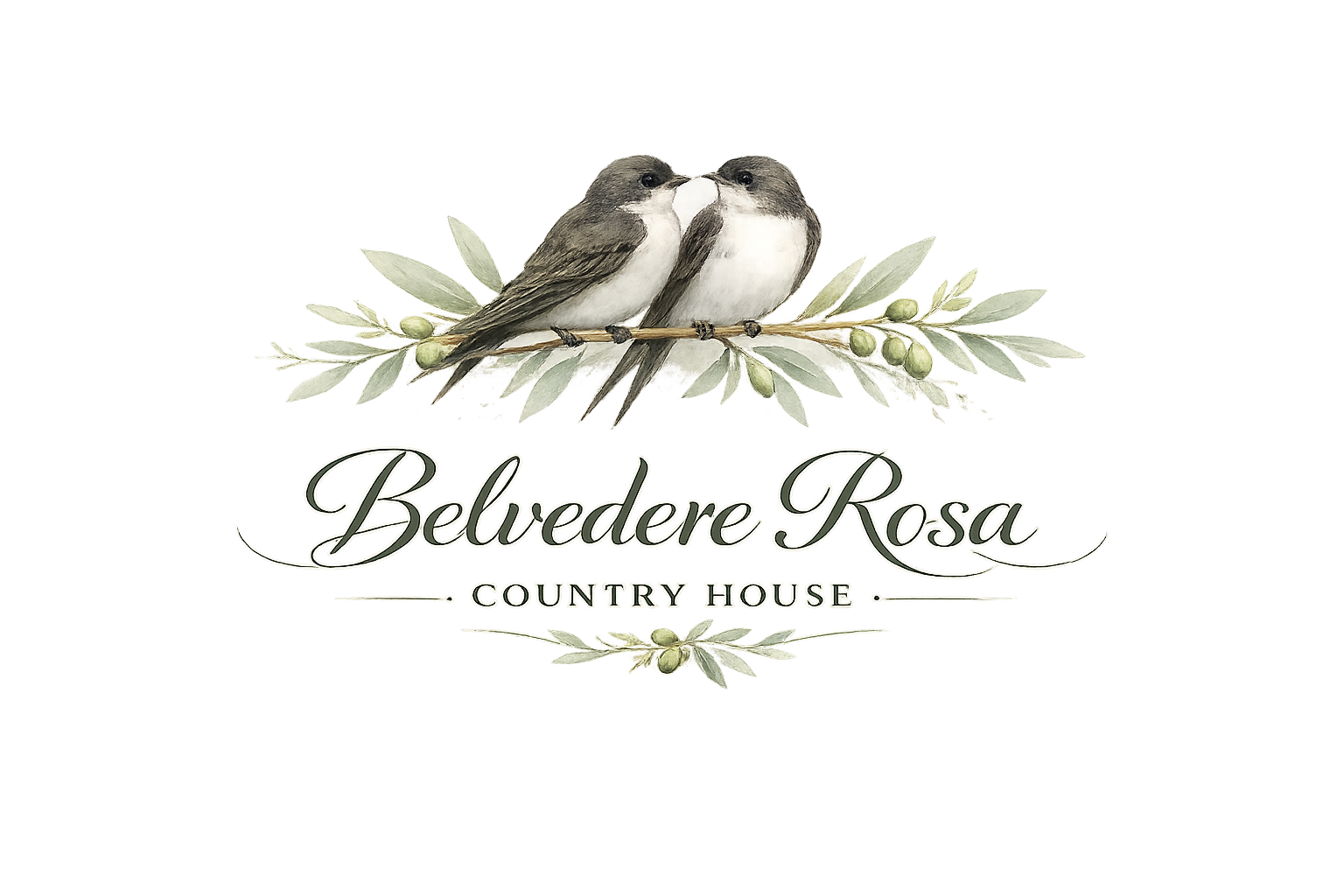 BELVEDERE ROSA S.A.S. DI JAMES DOMINIC CARR & C.