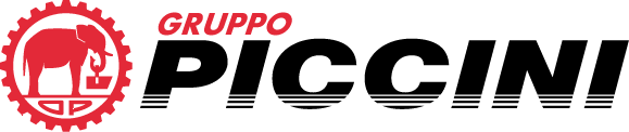 GRUPPO OFFICINE PICCINI S.P.A. IN BREVE OFFICINE PICCINI S.P.A. OVVERO GRUPPO PICCINI S.P.A.