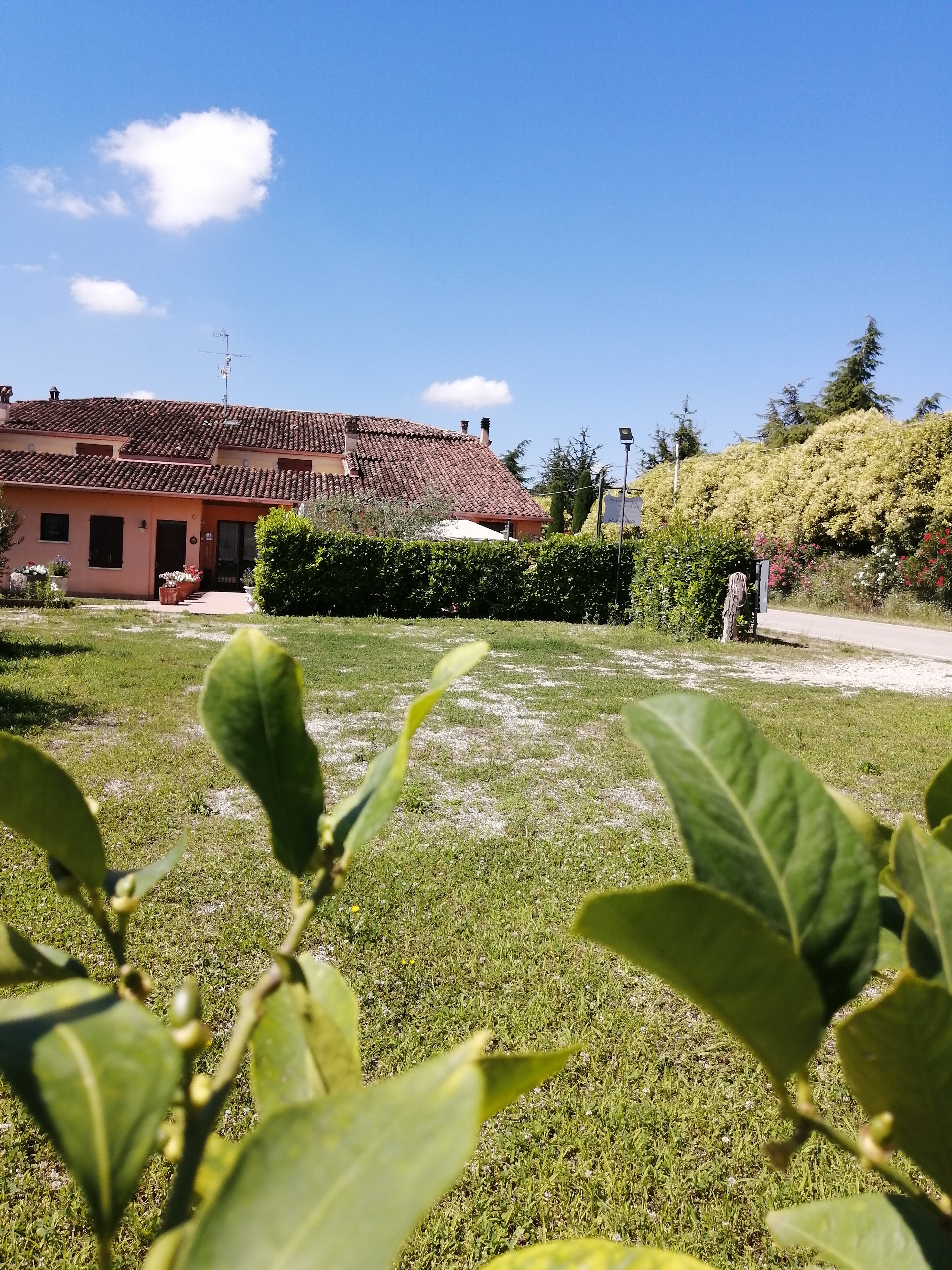 AGRITURISMO NUVOLINO