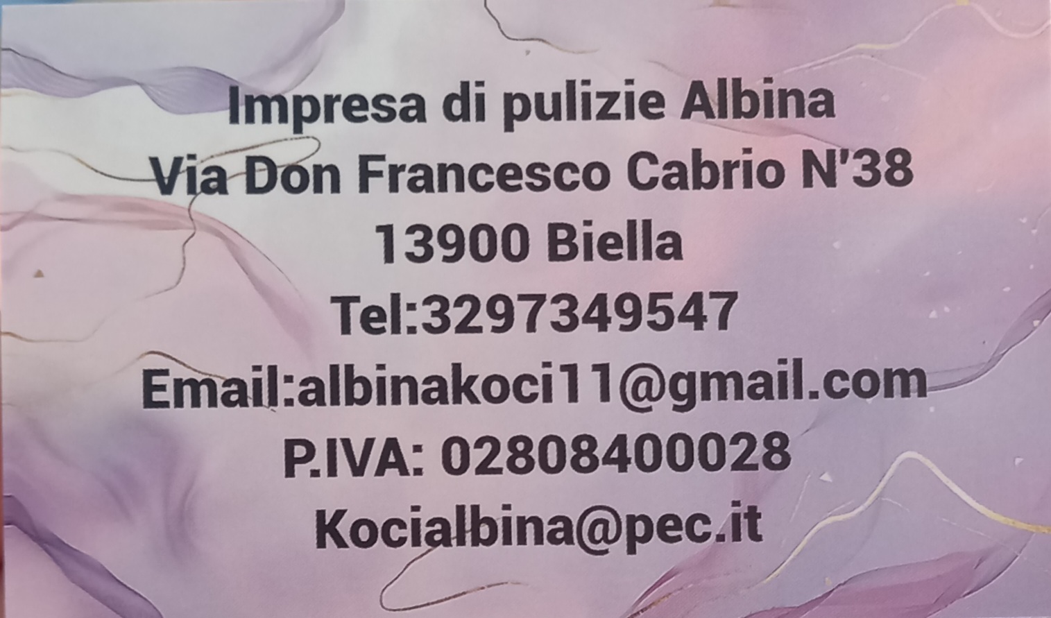 KOCI ALBINA