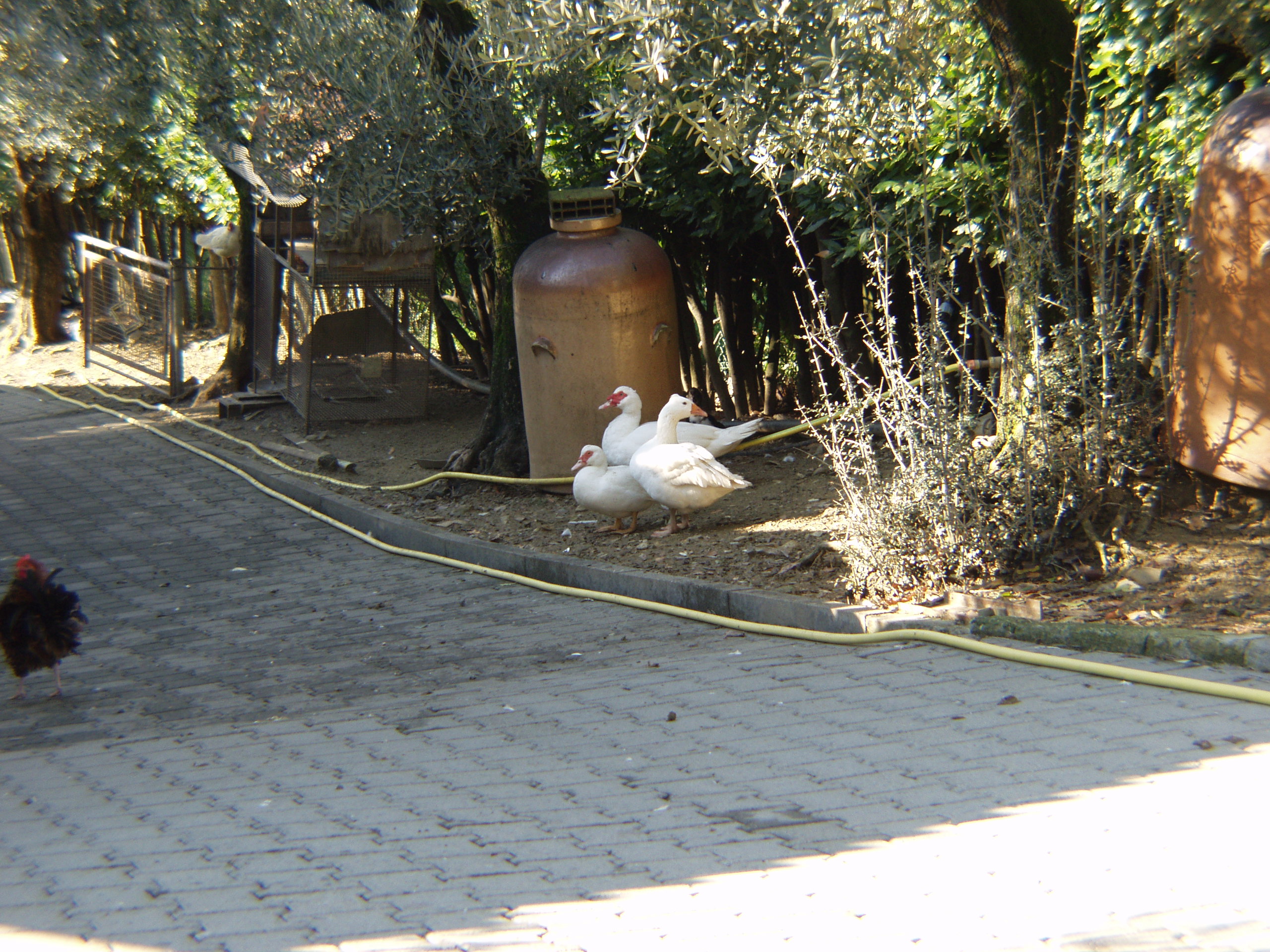 AGRITURISMO CASCINA DEI PERI