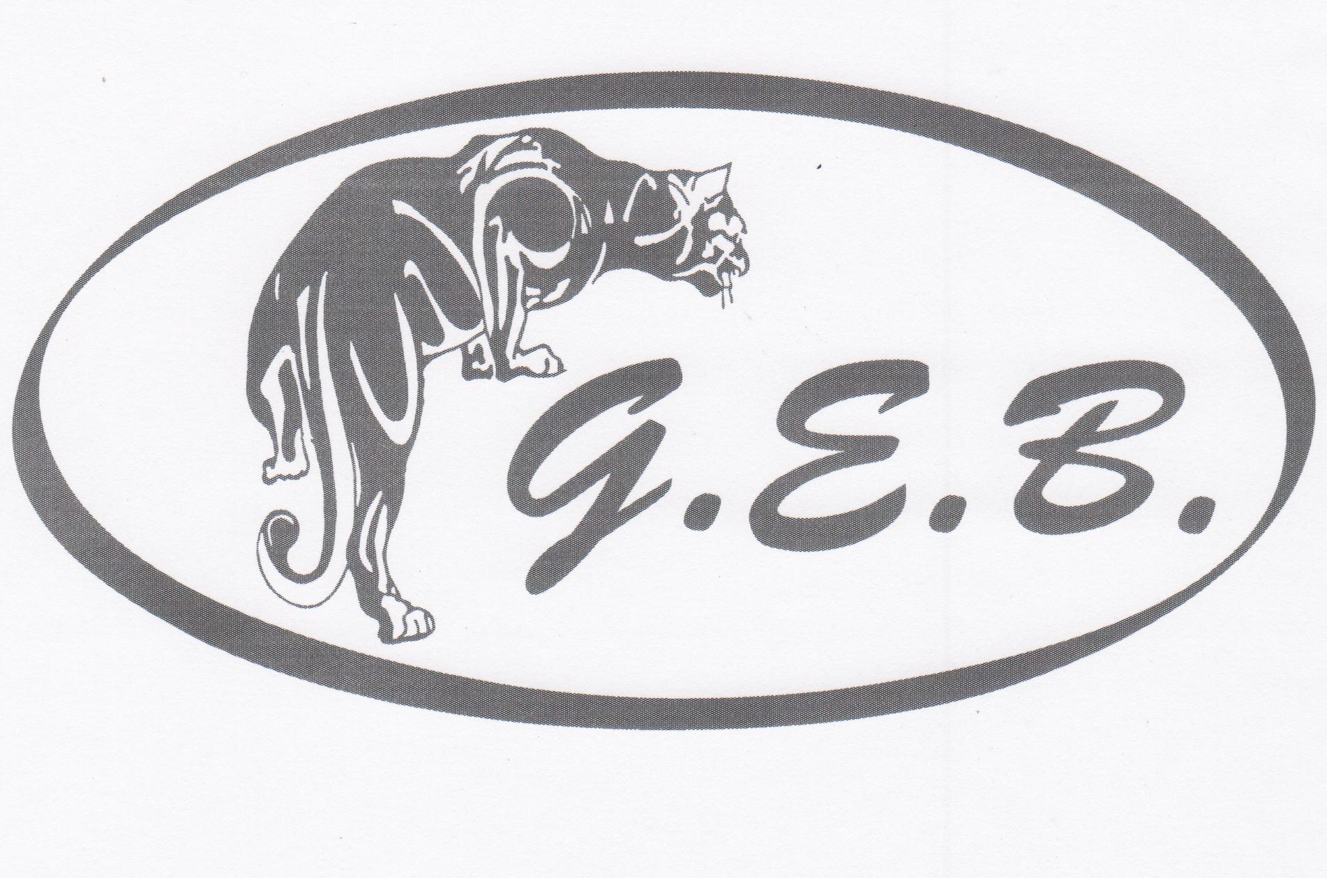 G.E.B. di Palmieri Sandro