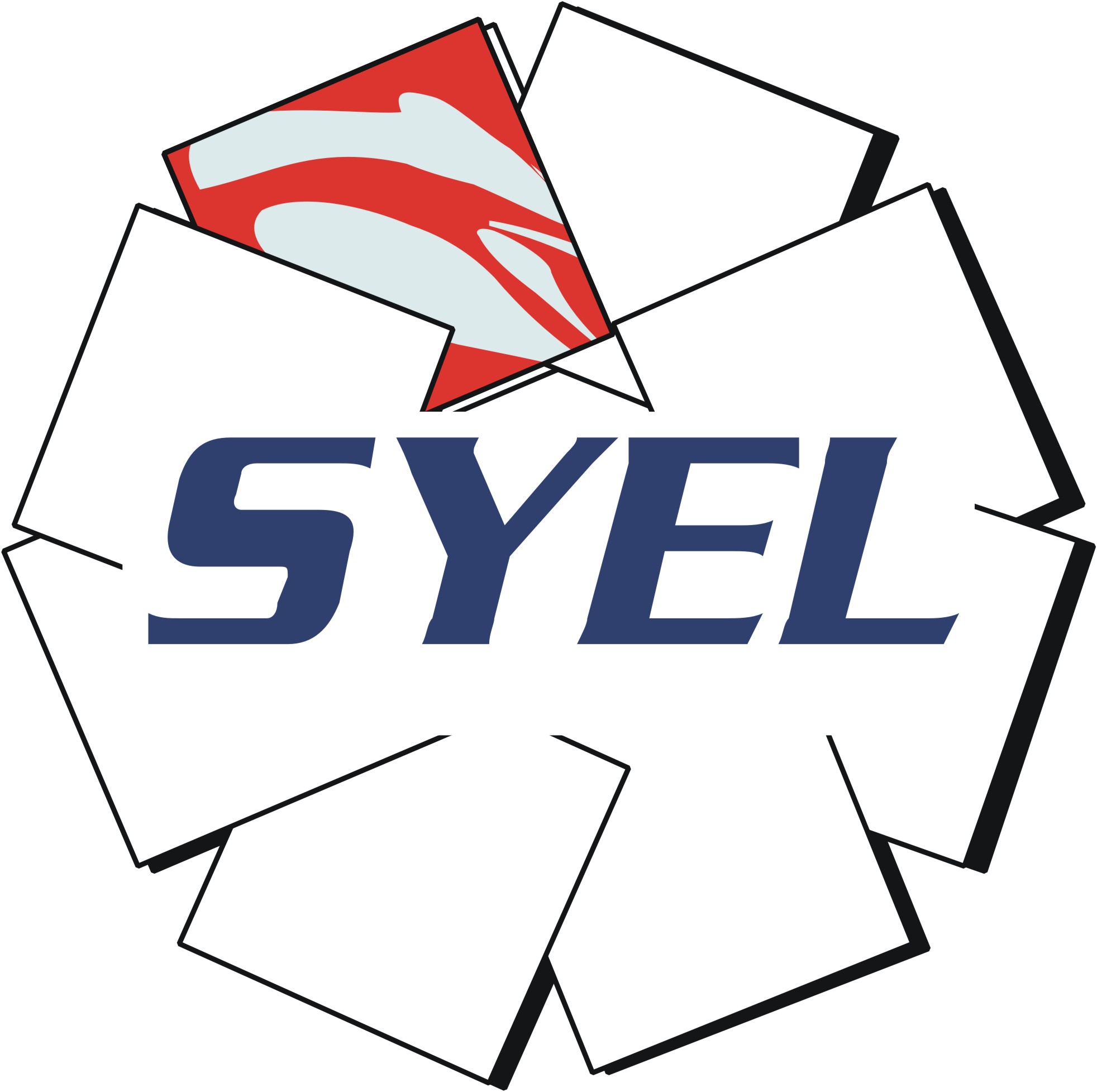 SYEL SRL