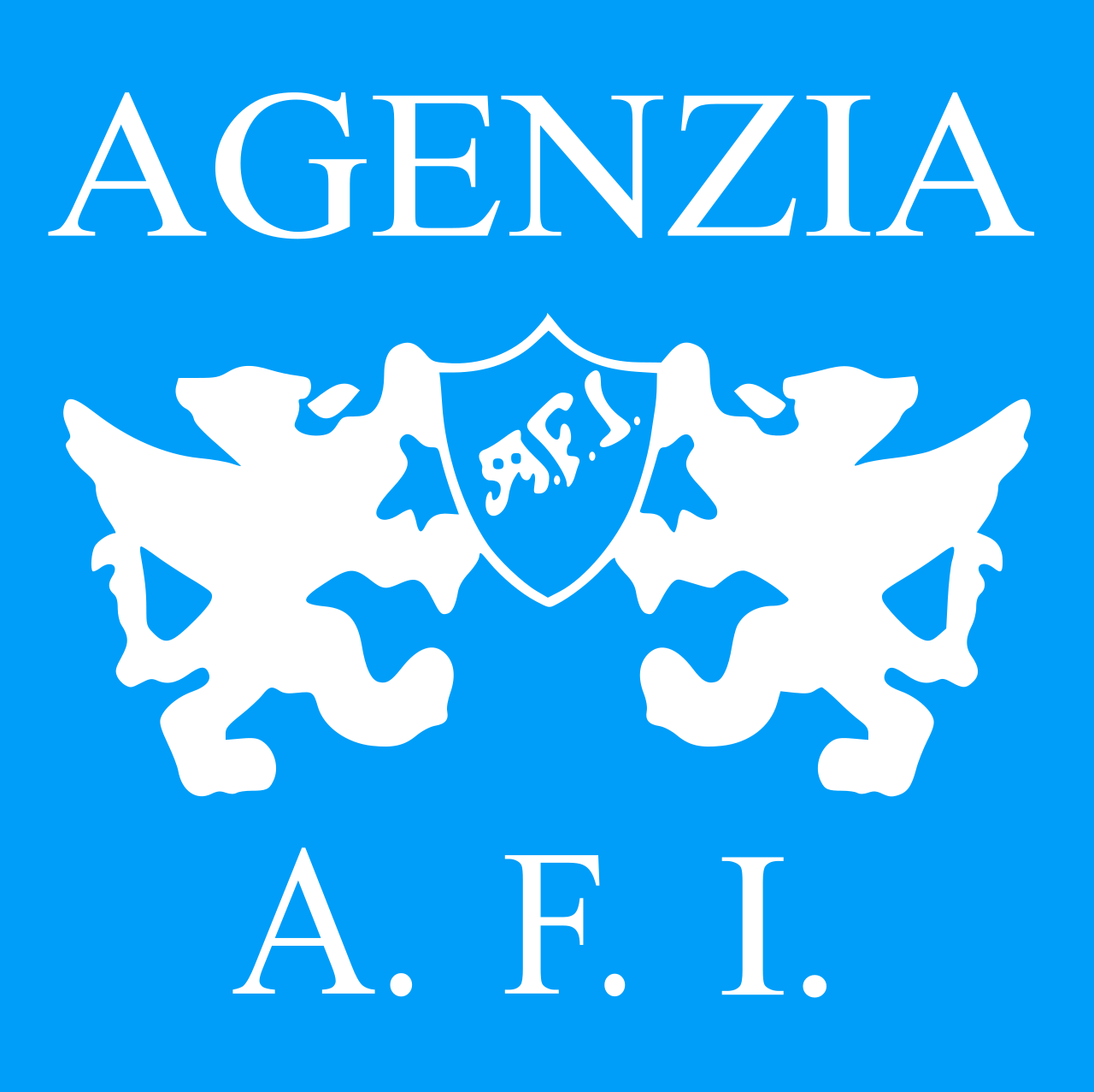 AGENZIA AFI SRL
