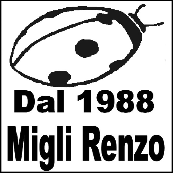 MIGLI RENZO FERRAMENTA MESTICHERIA GIARDINAGGIO