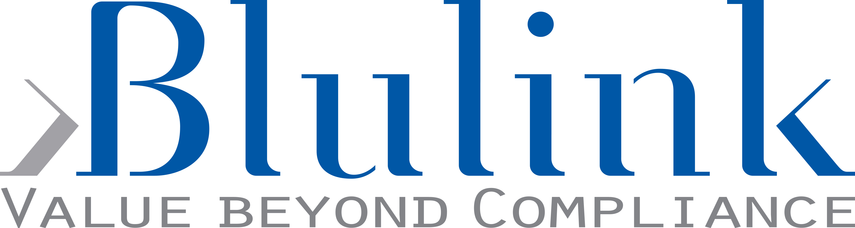 BLULINK S.R.L.