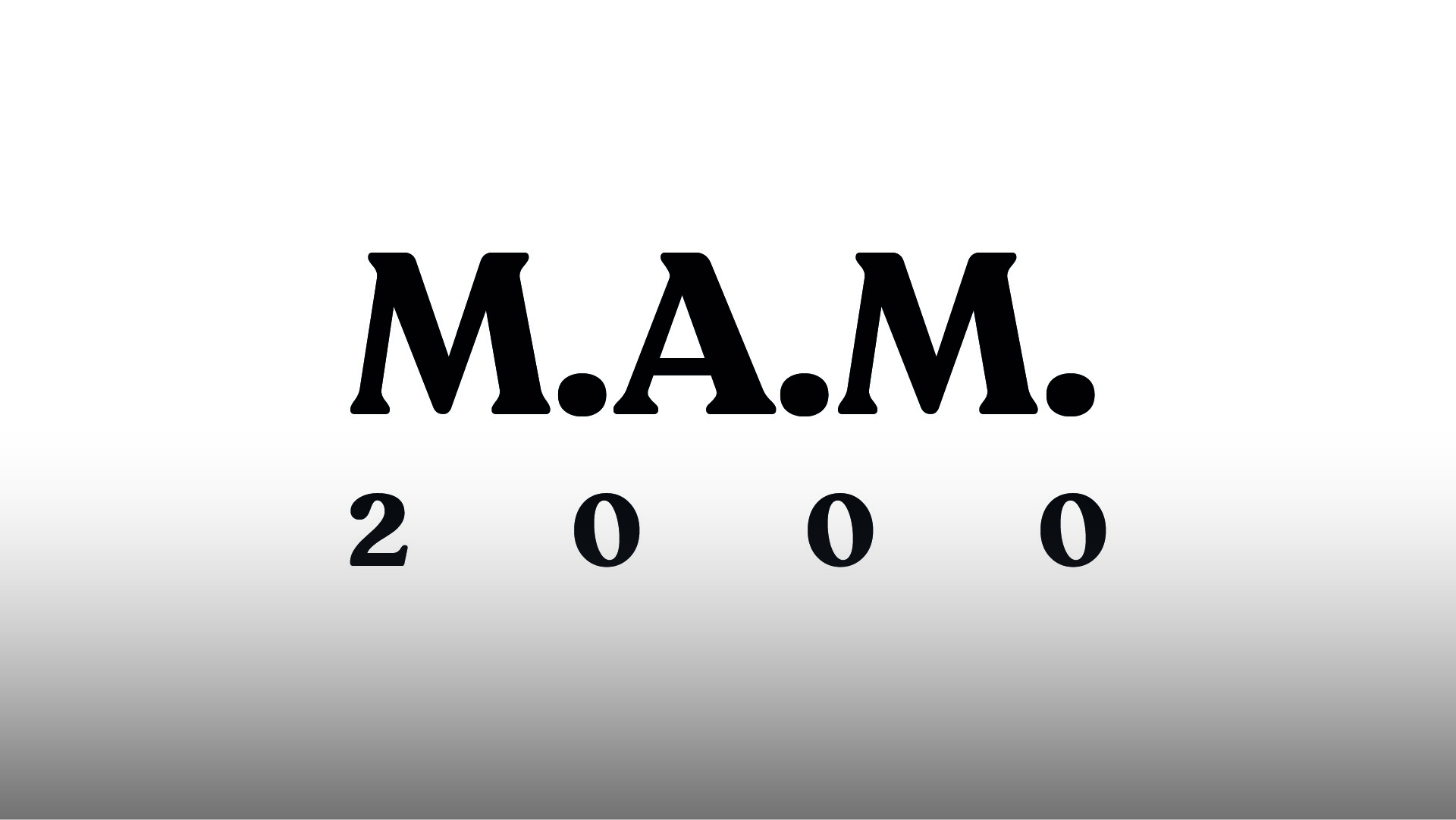 M.A.M. 2000 opera nel settore del trasporto, specializzato nella