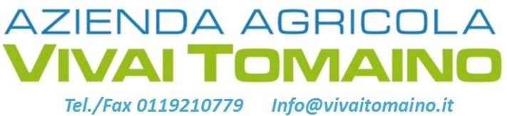 AZIENDA AGRICOLA VIVAI TOMAINO SARL