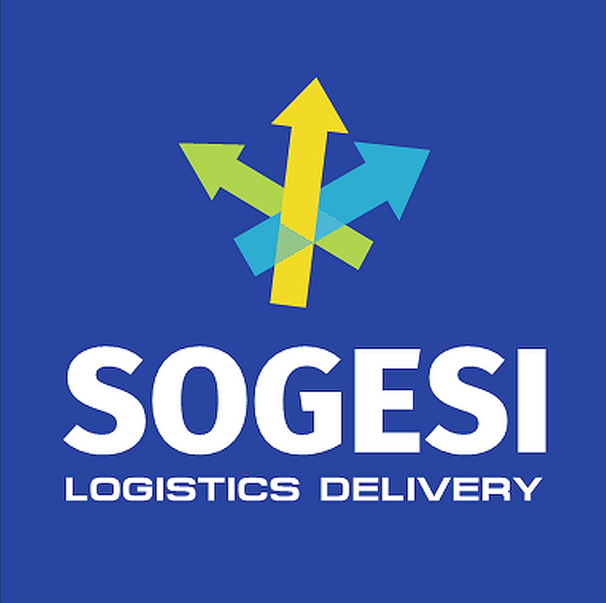 SOGESI S.R.L. A SOCIO UNICO