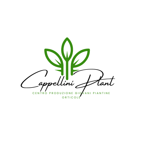 AZ. AGR. CAPPELLINI PLANT S.S.