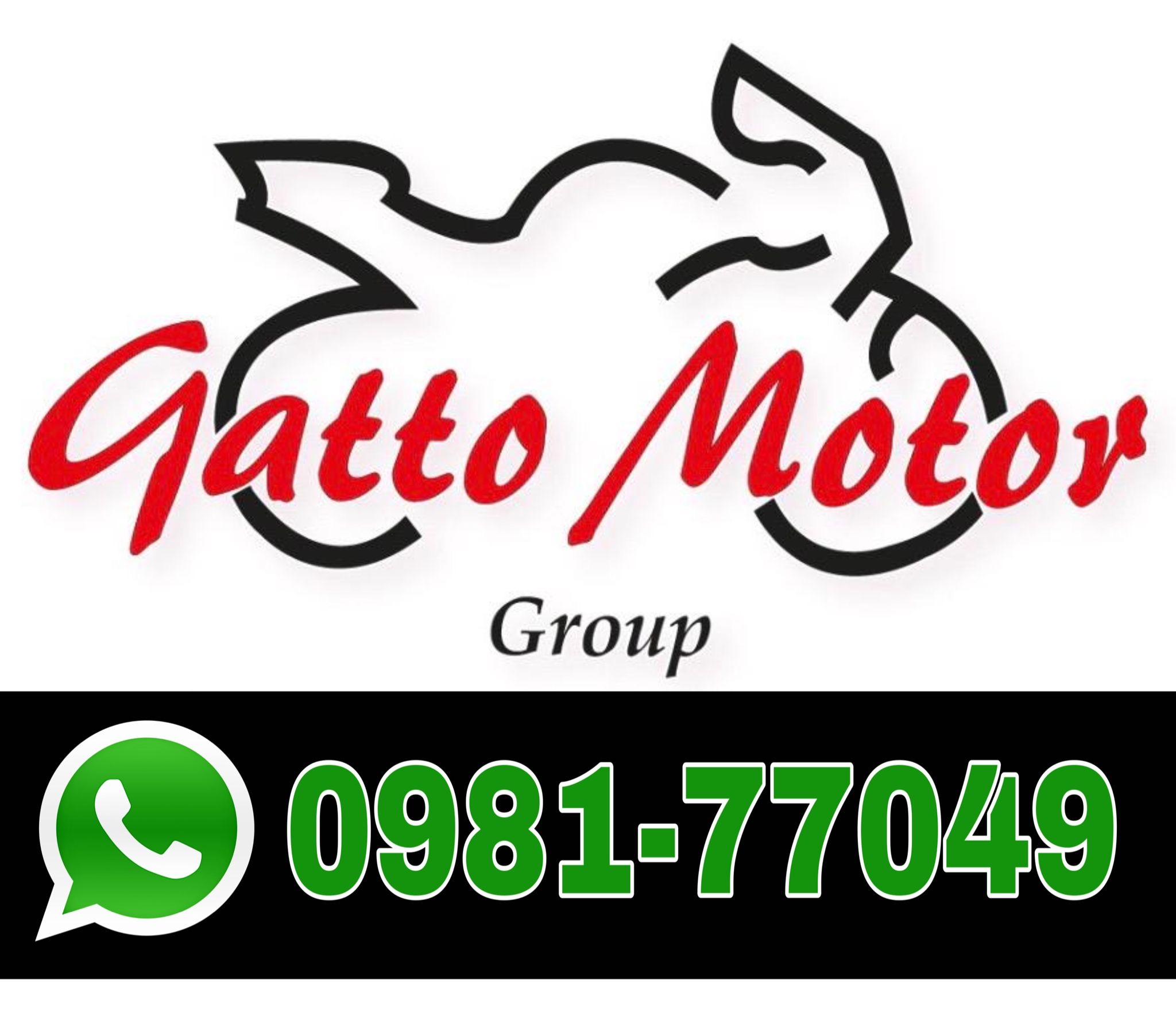 GATTO MOTOR 