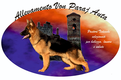 Logo aziendale