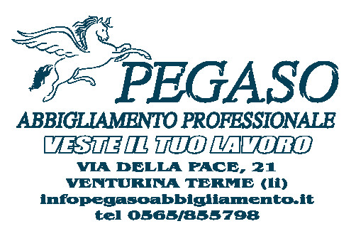 PEGASO ABITI DA LAVORO