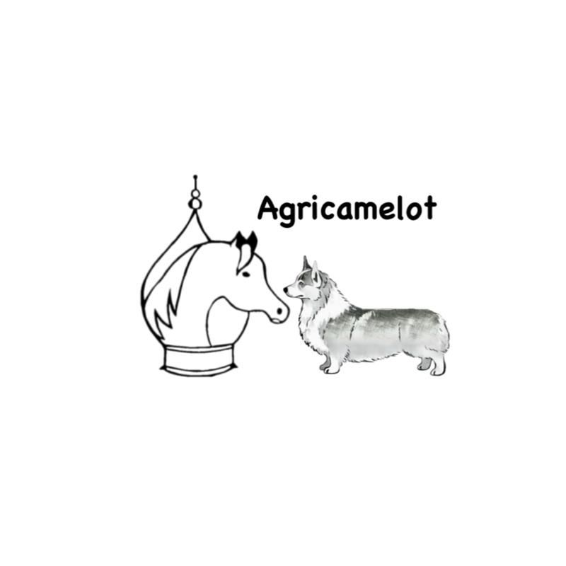 Az. Agr. Camelot di Torri Matteo