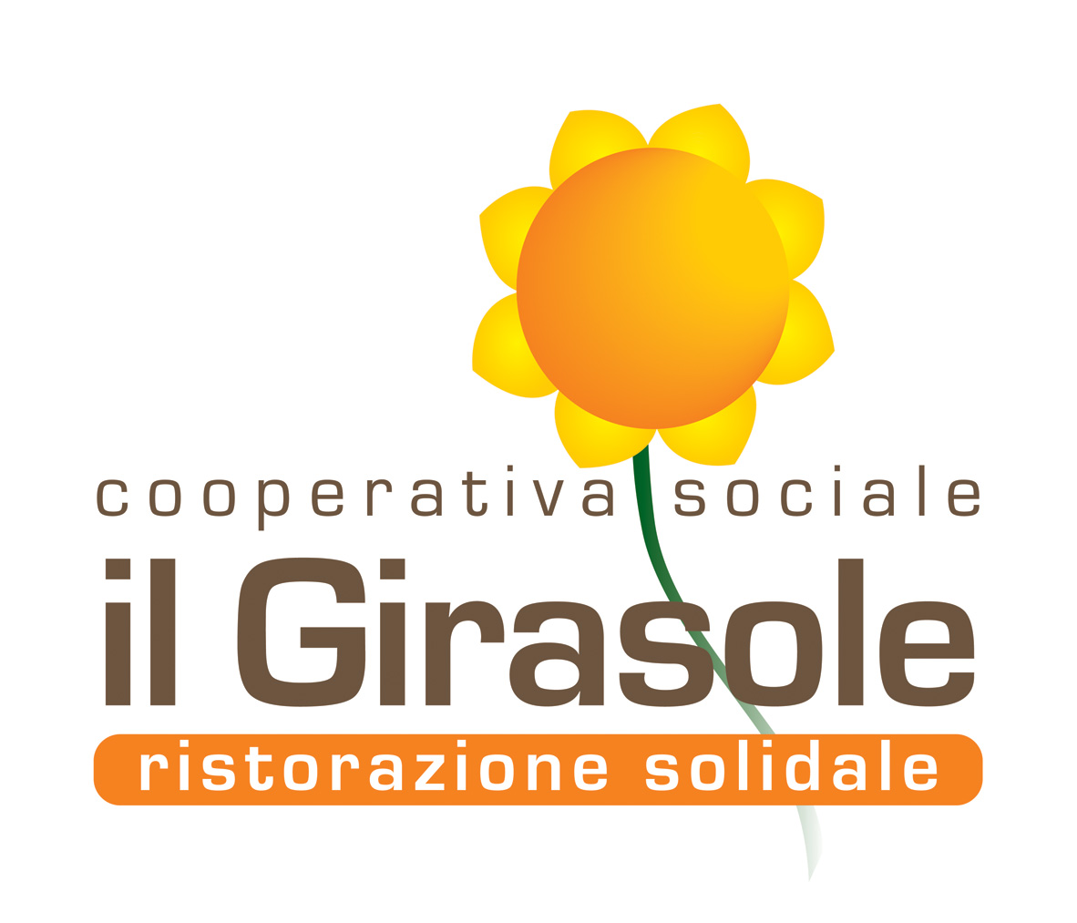 IL GIRASOLE SOCIETA'COOPERATIVA SOCIALE - ONLUS