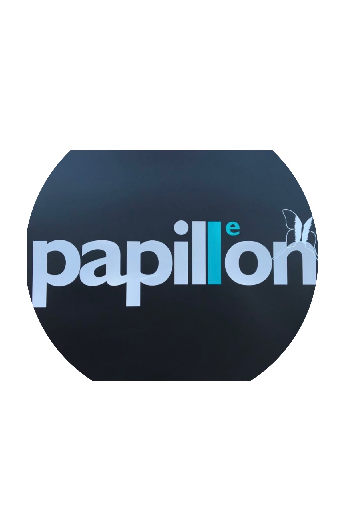 LE PAPILLON S.N.C. DI FRANCESCHINI RENATA E MARILENA