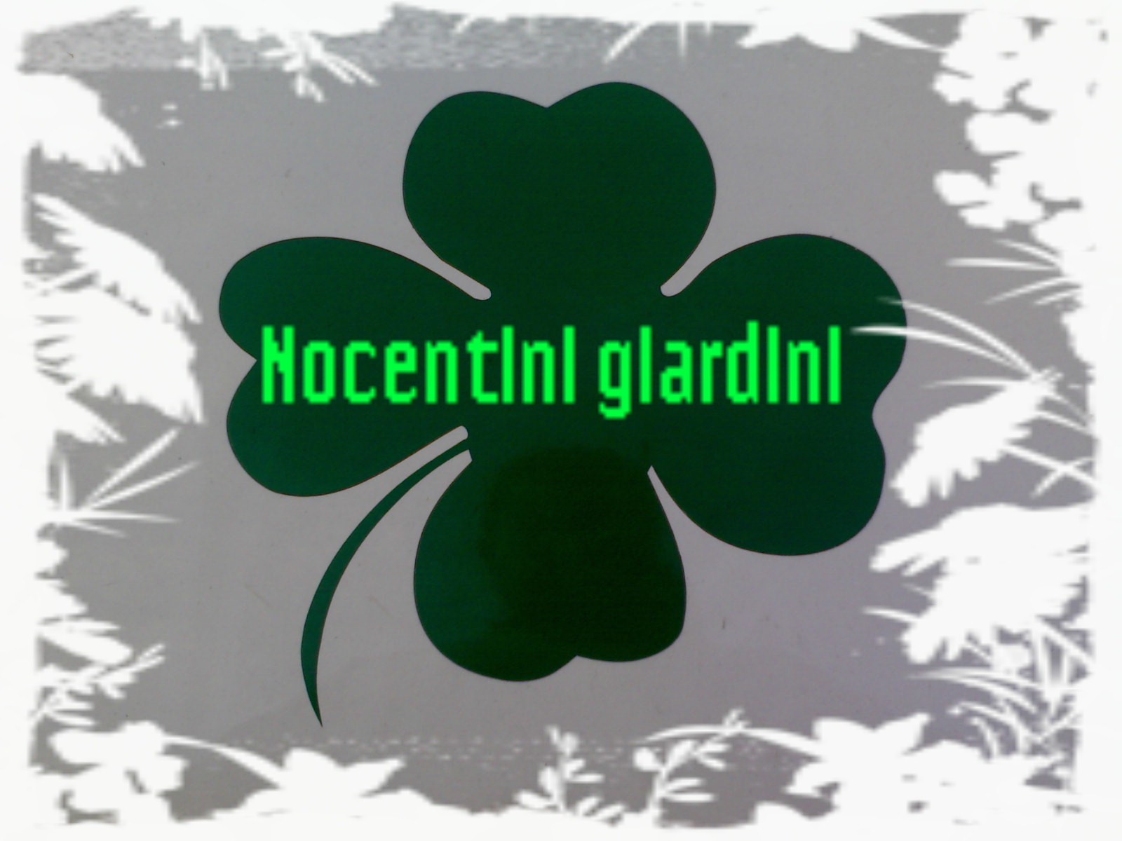NOCENTINI ANDREA - REALIZZAZIONE GIARDINI