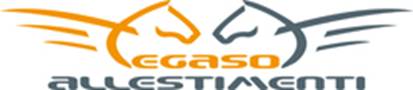 Pegaso Allestimenti s.r.l.