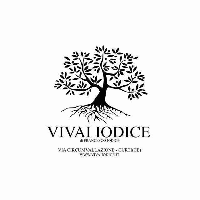 vivai iodice snc