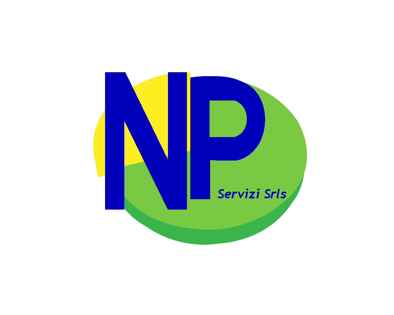 NP SERVIZI S.R.L.S.