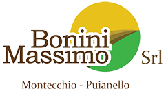 BONINI MASSIMO Srl