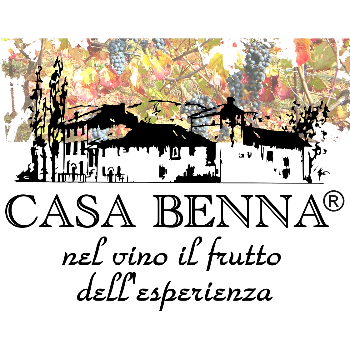 Casa Benna Soc. Agr. di Molinari Andrea & Stabile A. s.s.
