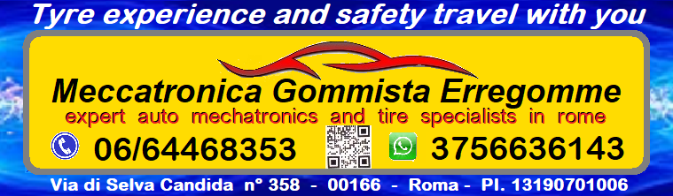 meccatronica gommista erregomme