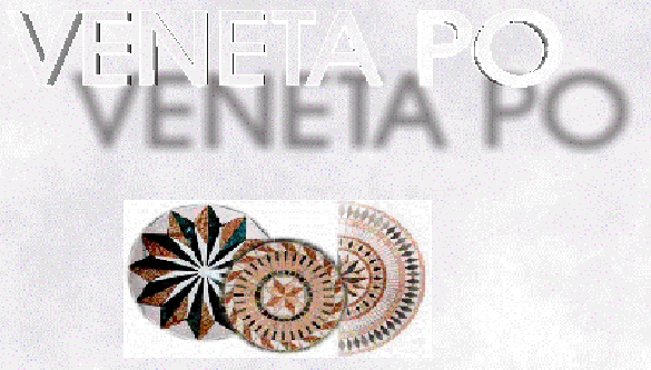 Veneta Po S.r.l.