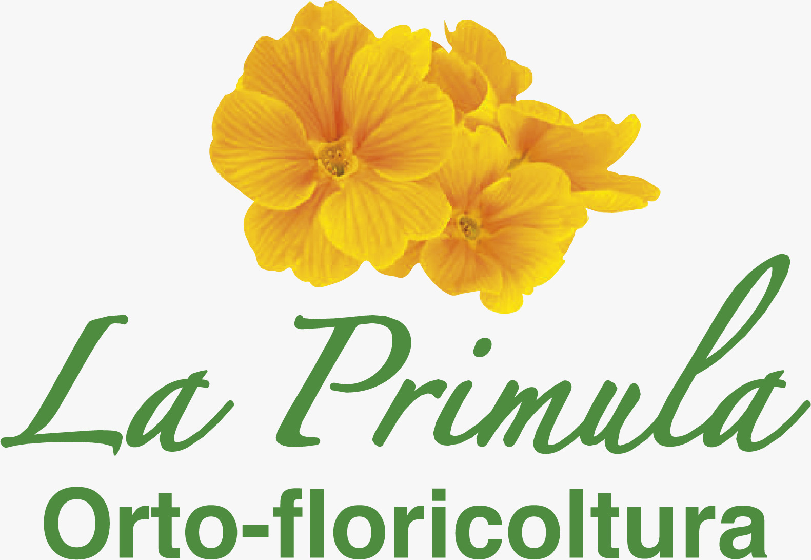 Azienda agricola