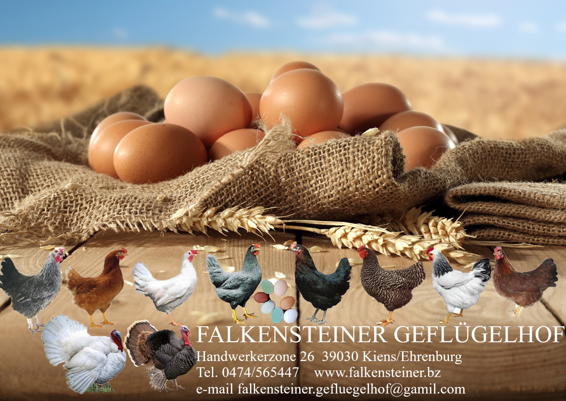 FALKENSTEINER REINHARD