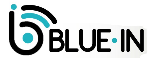 BLUE-IN S.A.S. DI SILVIO ROSSI & C.