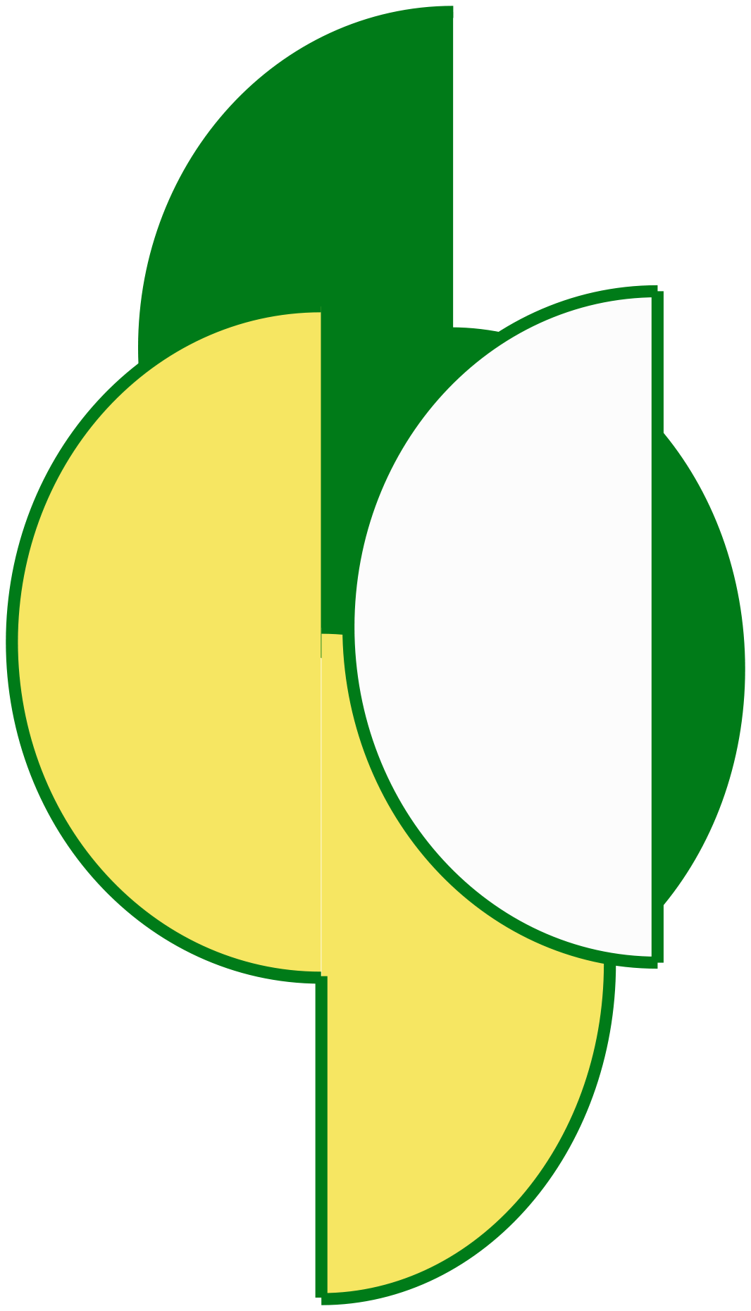 SISTEMI CENTRO SICUREZZA S.R.L.