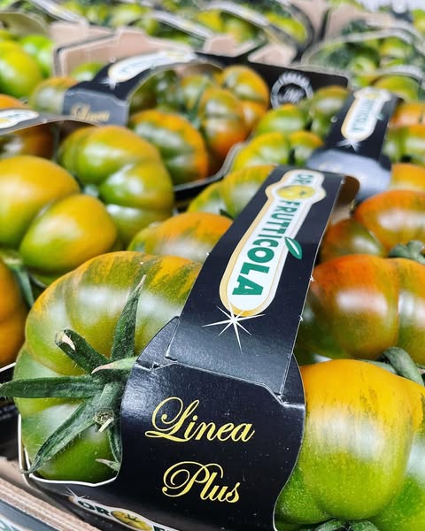 OROFRUTTICOLA S.R.L.