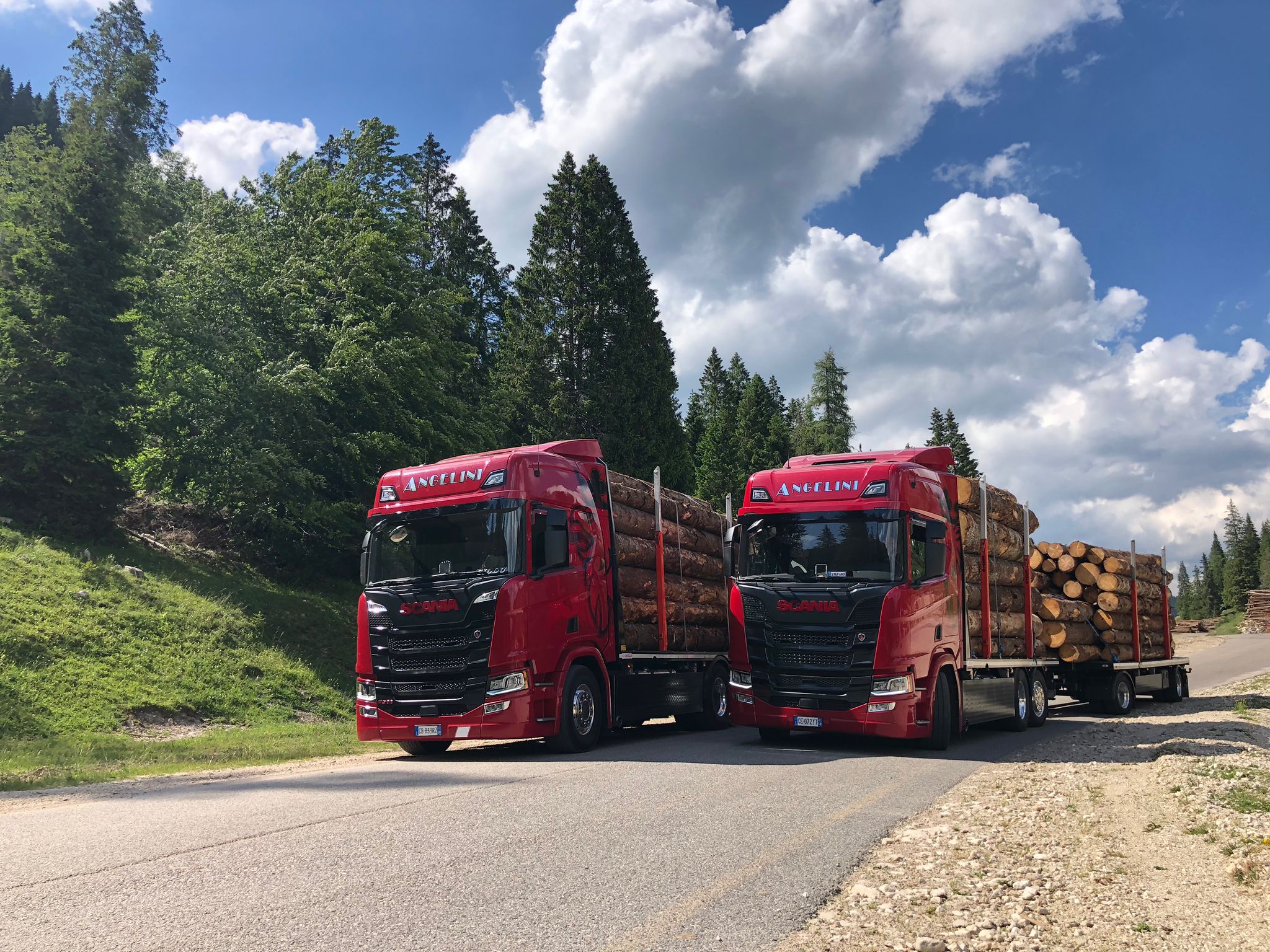 Angelini Truck & Wood s.r.l.