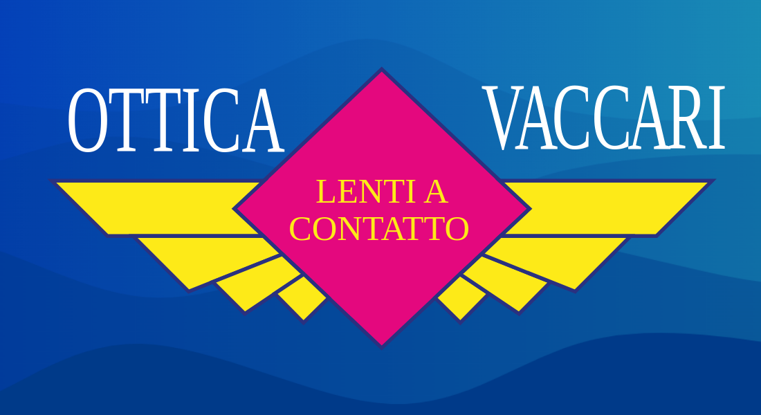 OTTICA VACCARI DI VACCARI SIMONA