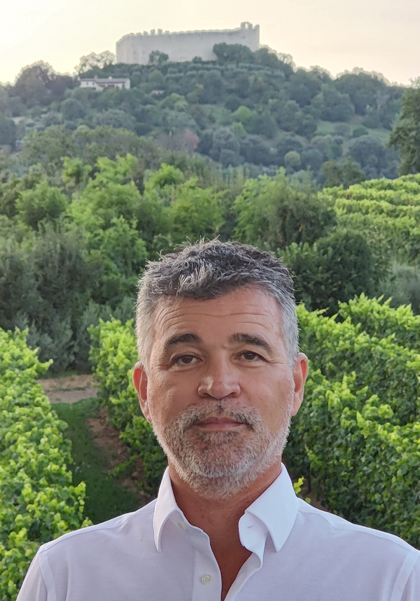 ALVISE CARNIEL