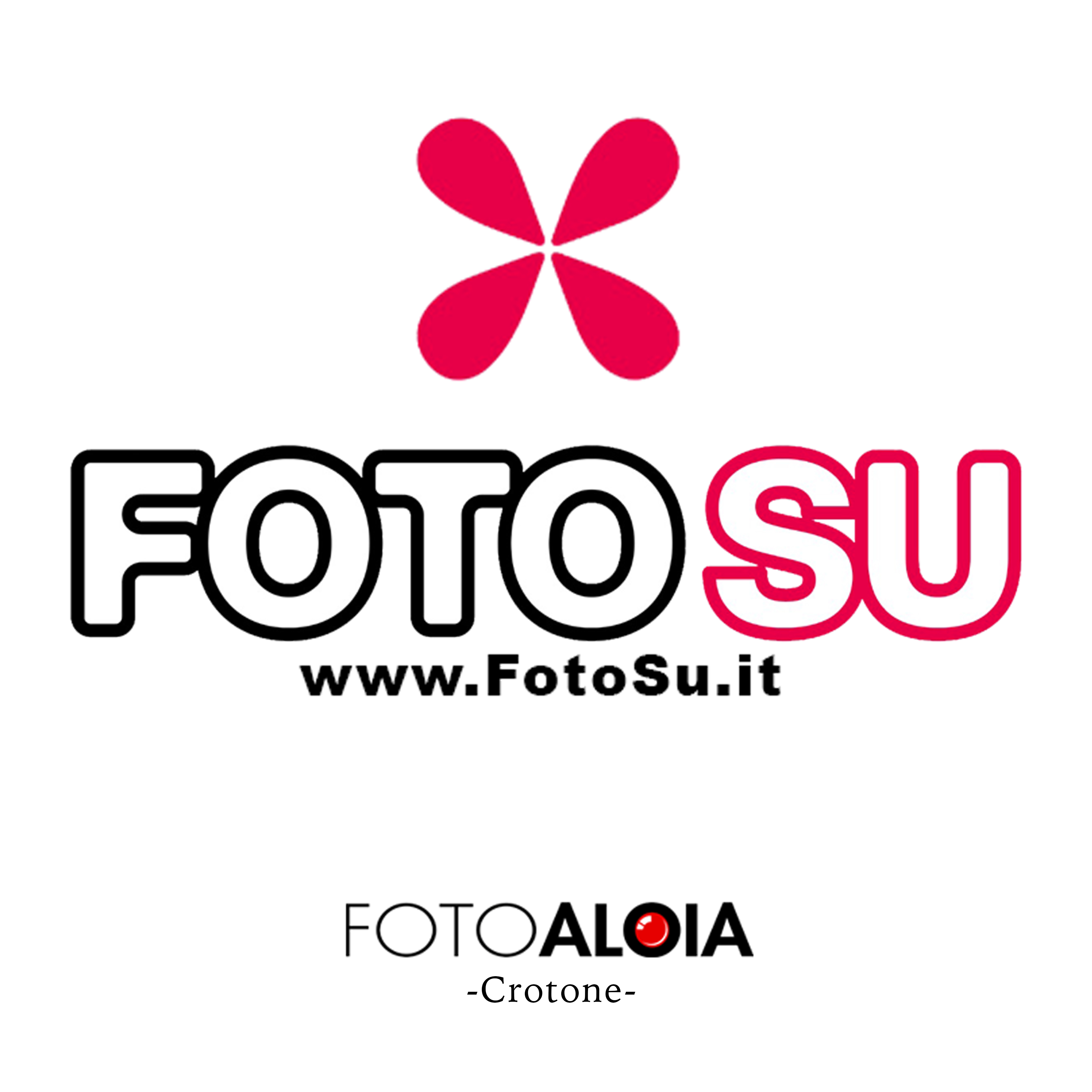 FOTO ALOIA FOTOSU