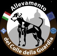 Allevamento Del Colle Della Guardia Di Montanari Massimo