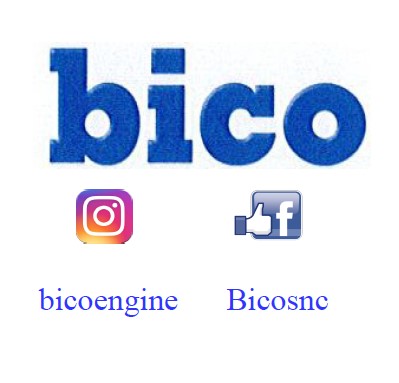 BICO DI ERIKSSON BJONS SIMONE & C. SNC