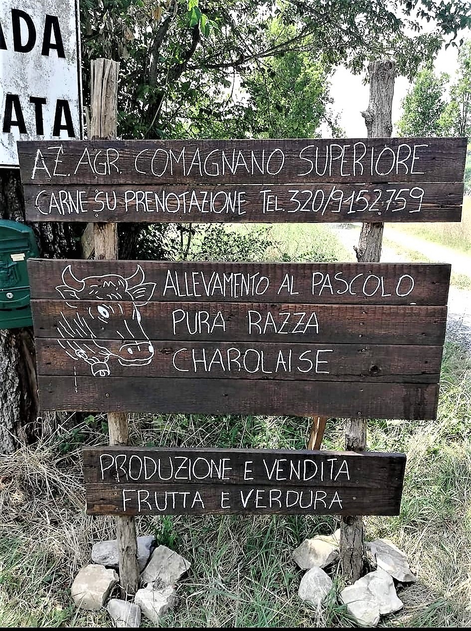 Societa' Agricola Comagnano Superiore S.S. Di Lina Senese & Co