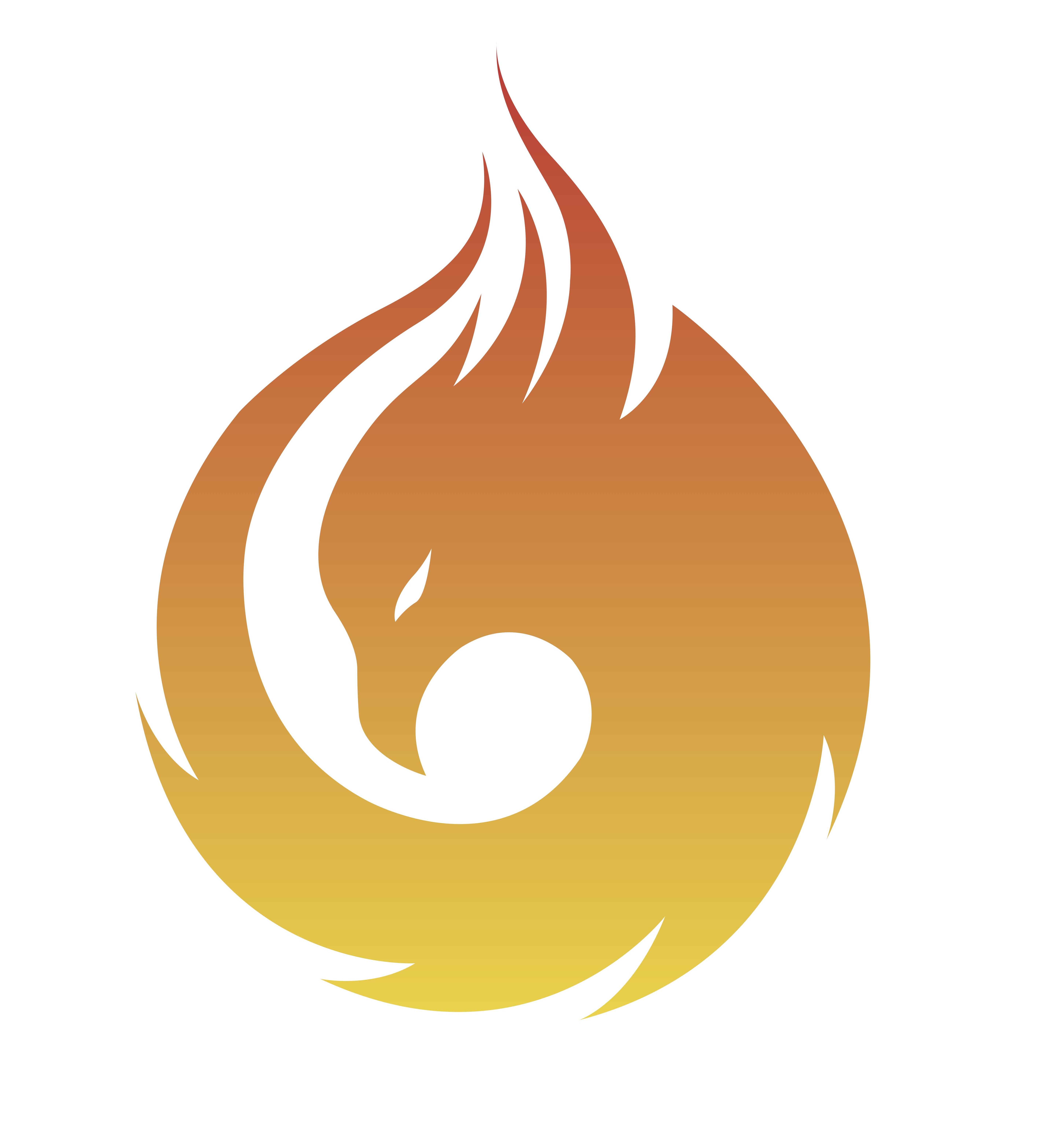 Phoenix Societa' A Responsabilita' Limitata Semplificata