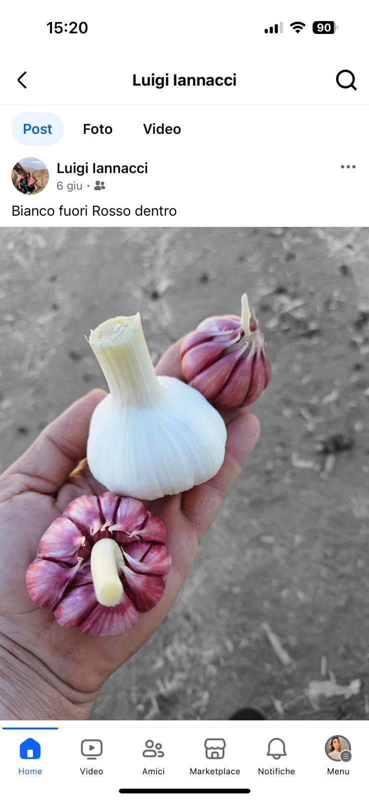 Az.Agricola Iannacci Luigi