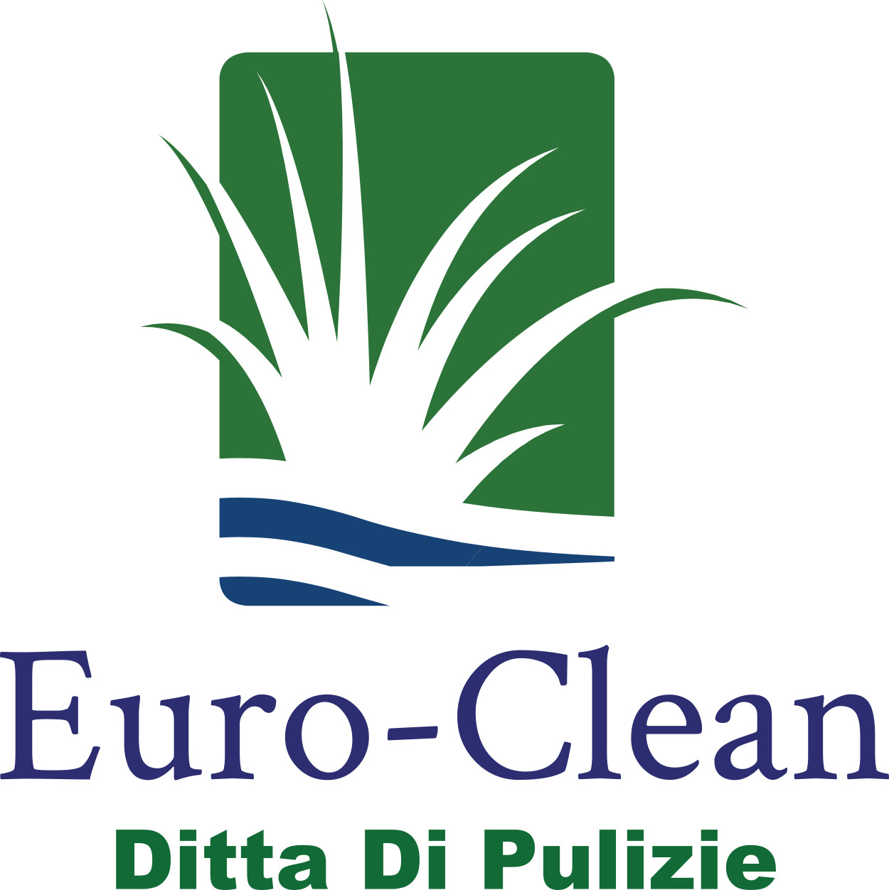Euro - Clean Di PISLARU IONUT